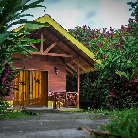 Selvita Lodge Arenal La Fortuna Eksteriør bilde