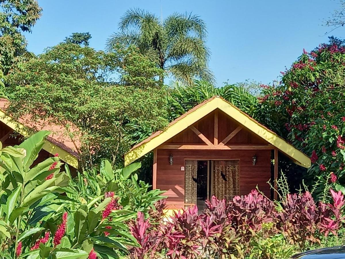 Selvita Lodge Arenal La Fortuna Eksteriør bilde