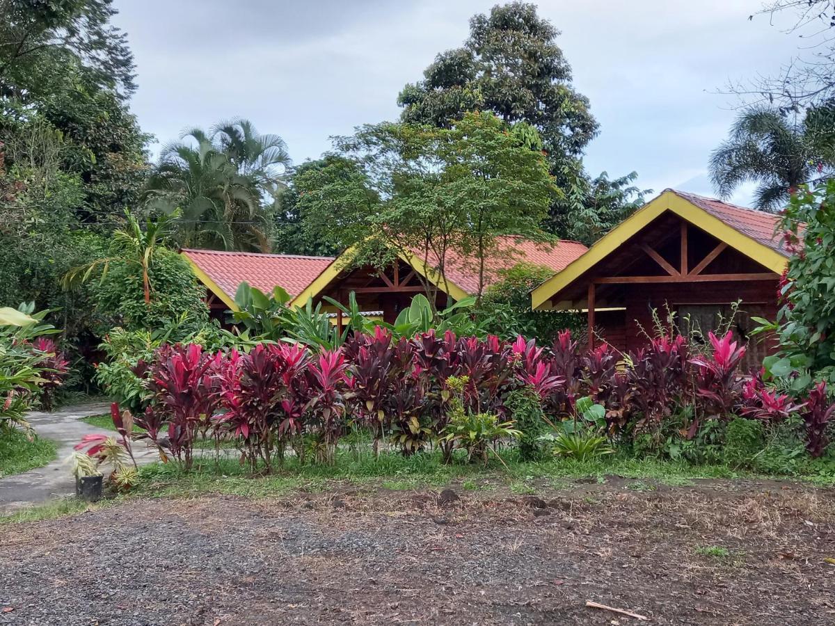 Selvita Lodge Arenal La Fortuna Eksteriør bilde