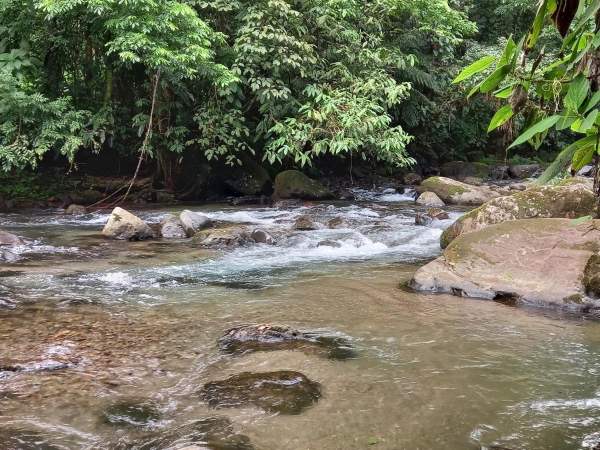 Selvita Lodge Arenal La Fortuna Eksteriør bilde