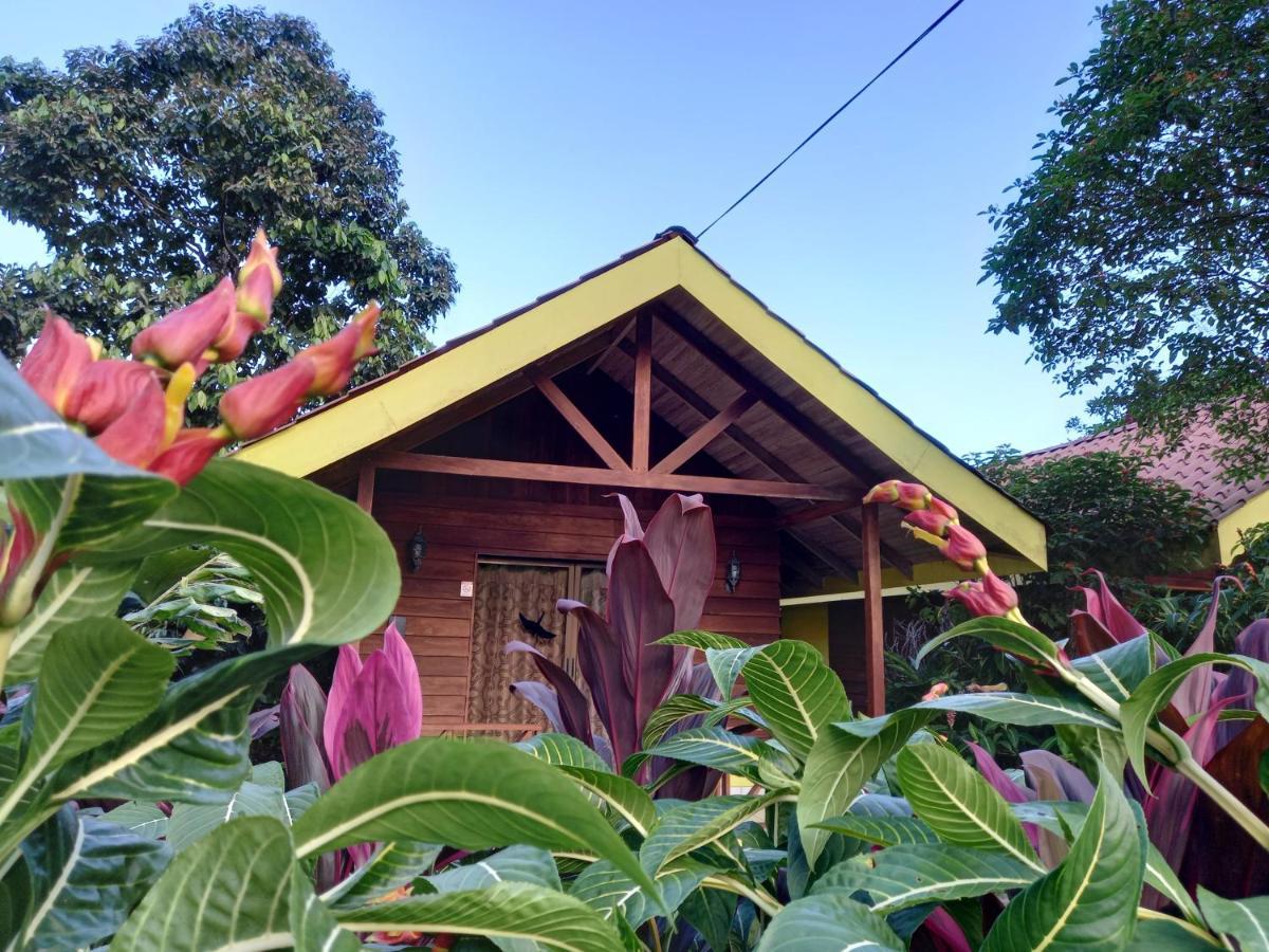 Selvita Lodge Arenal La Fortuna Eksteriør bilde