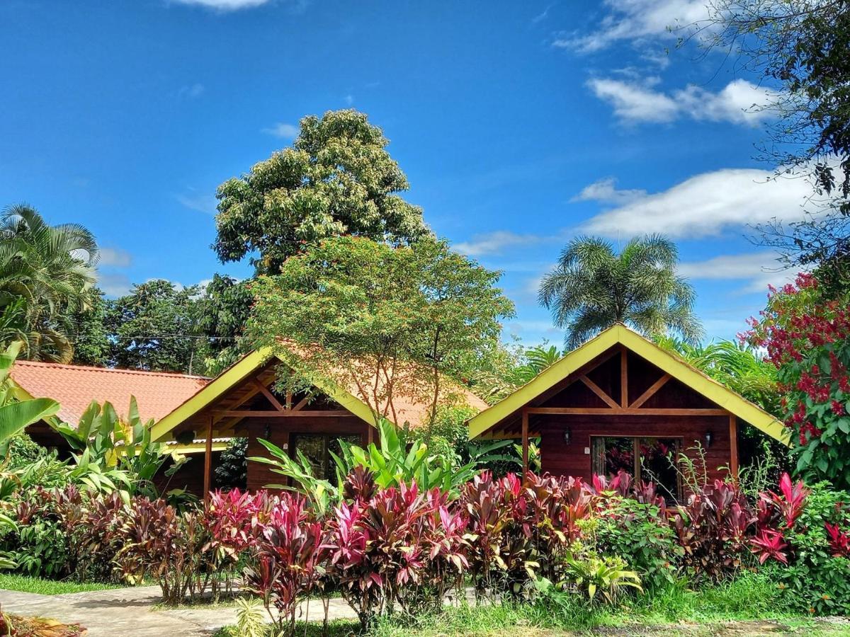 Selvita Lodge Arenal La Fortuna Eksteriør bilde